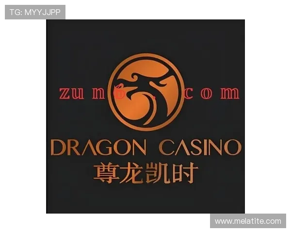 尊龙在线登录官网官方入口，开启您的尊贵娱乐体验之旅