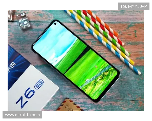 Z6就是博：Z6平台的安全性保障措施与数据保护策略